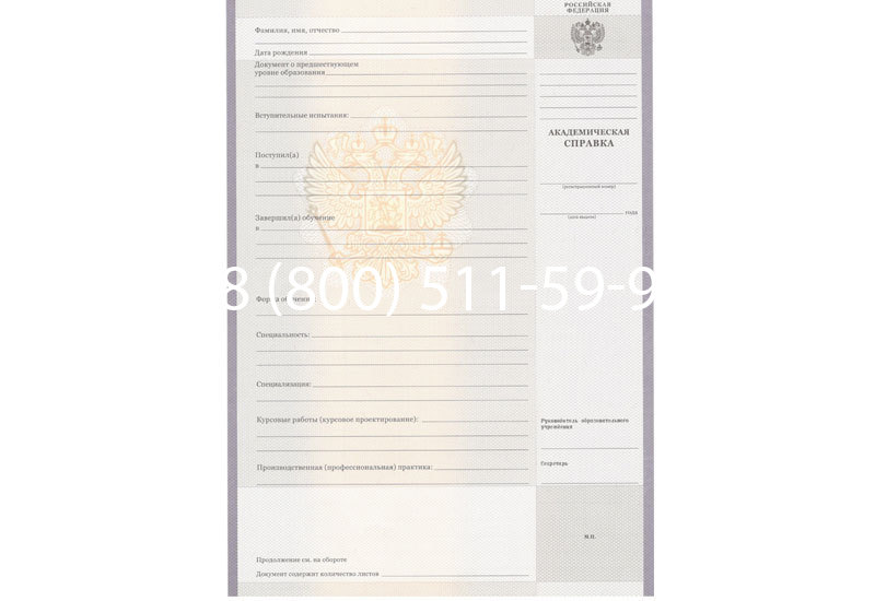 Купить Академическая справка образца 2010-2011 год для колледжа в Ногинске