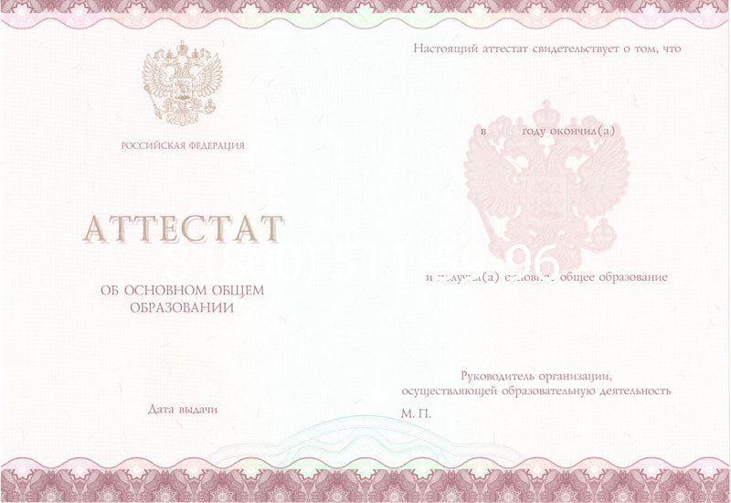Купить Аттестат за 9 класс 2014-2024 года в Ногинске