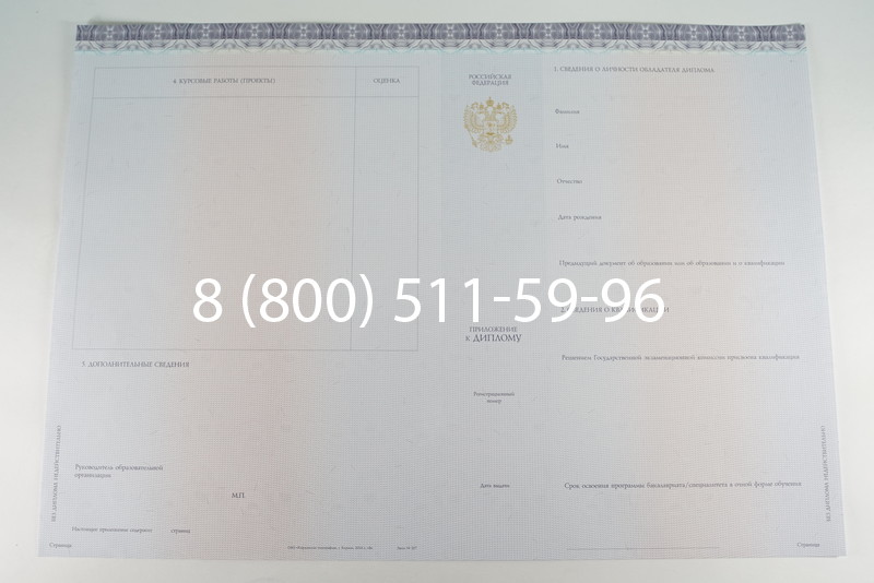 Диплом бакалавра (Киржач) 2014-2024 года в Ногинске Диплом бакалавра (Киржач) 2014-2024 года в Ногинске