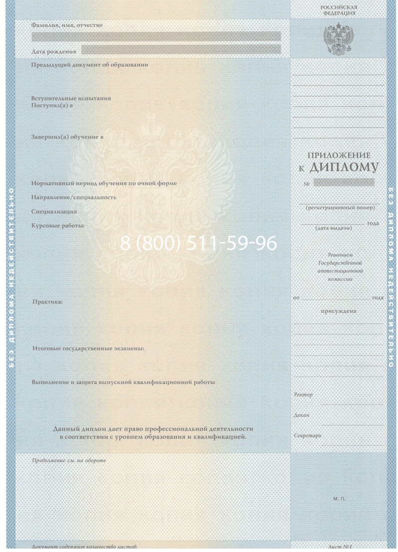 Заказать Диплом бакалавра 2003-2009 годов в Ногинске Заказать Диплом бакалавра 2003-2009 годов в Ногинске