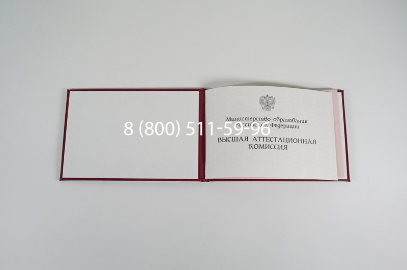 Диплом доктора наук 1995-2006 года в Ногинске
