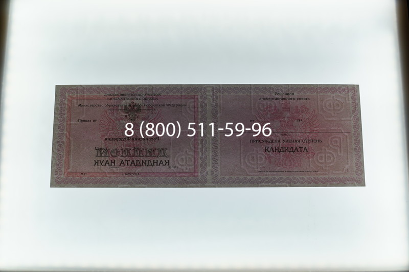 Заказать Диплом кандидата наук 2010 в Ногинске