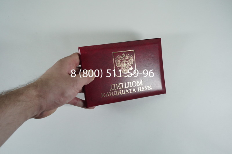 Диплом кандидата наук 2010 в Ногинске