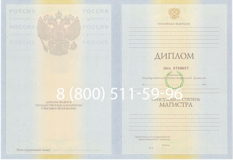 Купить Диплом магистра 2010-2011 годов в Ногинске Купить Диплом магистра 2010-2011 годов в Ногинске