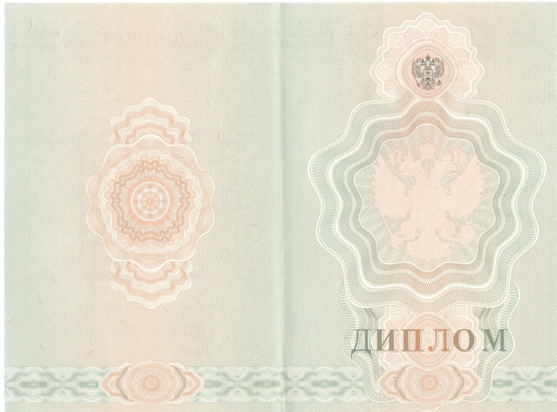 Купить Диплом о начальном образовании 2007-2009 годов в Ногинске Купить Диплом о начальном образовании 2007-2009 годов в Ногинске