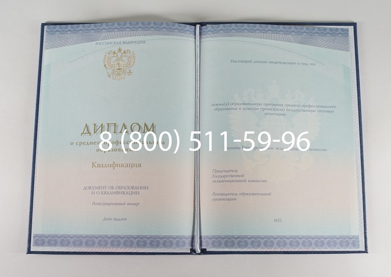 Диплом о среднем образовании (Спецбланк) 2014-2024 года в Ногинске