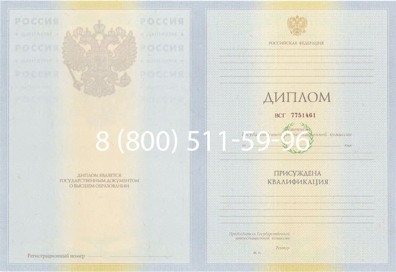 Купить Диплом о высшем образовании 2010-2011 годов в Ногинске