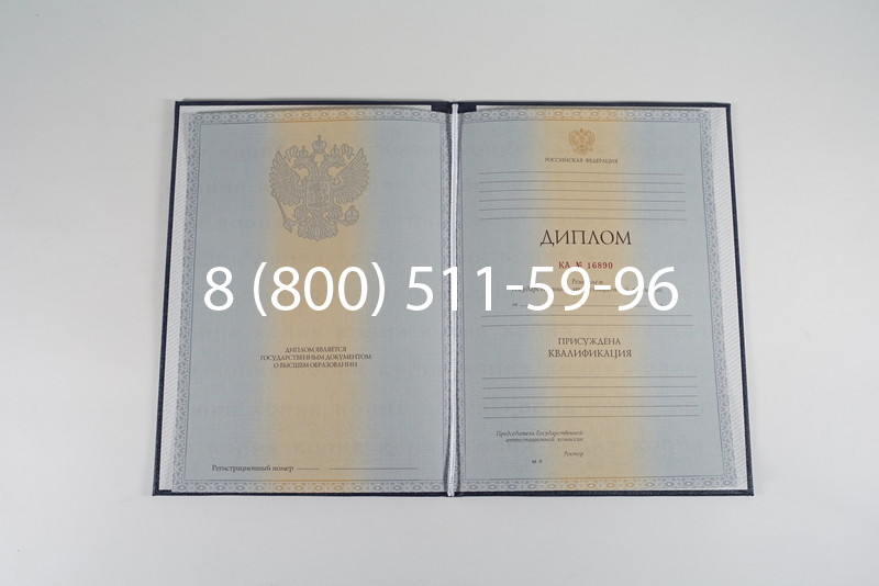Диплом специалиста 2012-2013 годов в Ногинске Диплом специалиста 2012-2013 годов в Ногинске