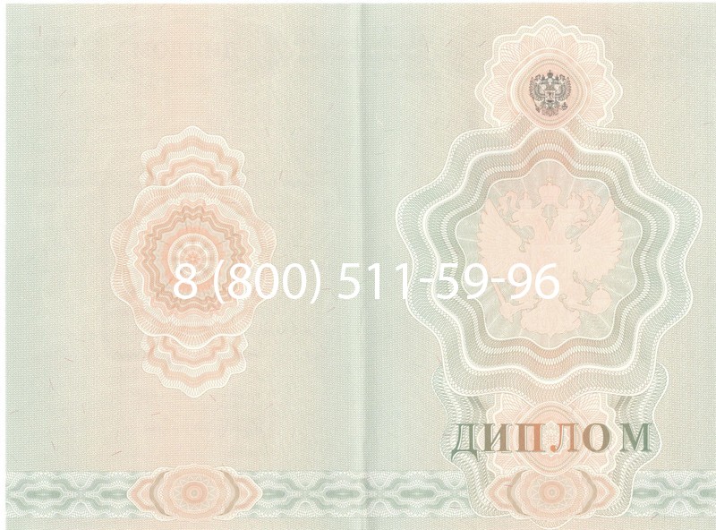 Купить Диплом училища 2007-2009 годов в Ногинске Купить Диплом училища 2007-2009 годов в Ногинске